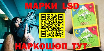 Альфа ПВП Новодвинск