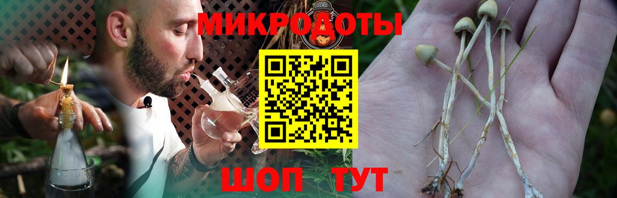 Галлюциногенные грибы Psilocybe  Вход с VPN  Галлюциногенные грибы Psilocybe  Геленджик 